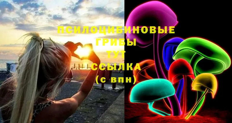 Галлюциногенные грибы MAGIC MUSHROOMS  Энем 